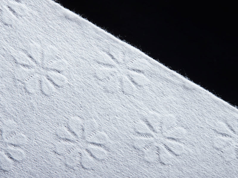 Polyester HK Flower Spunlace Para sa Patong